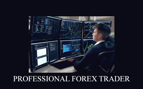 PROFESSIONAL FOREX TRADER