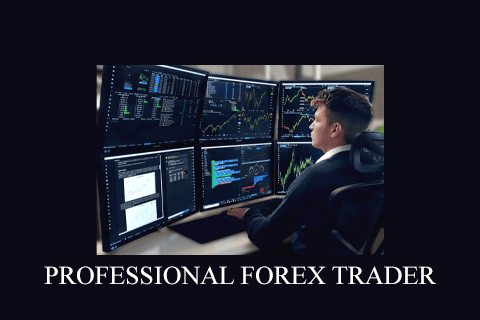 PROFESSIONAL FOREX TRADER (1)