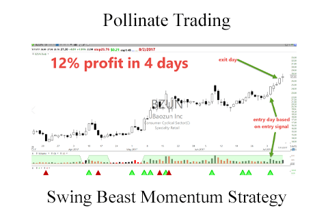 Pollinate Trading – Swing Beast Momentum Strategy