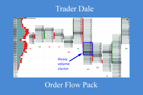 Trader Dale – Order Flow Pack (1)