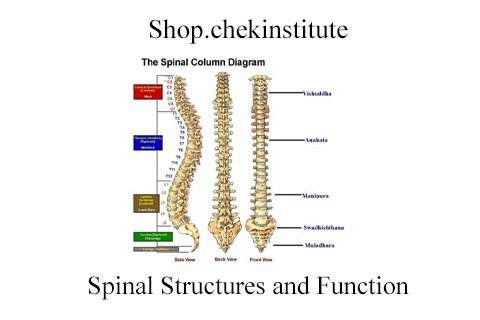 Shop.chekinstitute – Spinal Structures and Function (1)