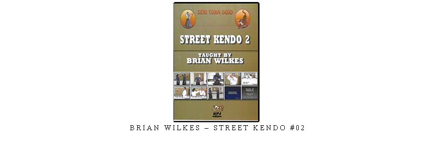 BRIAN WILKES – STREET KENDO #02