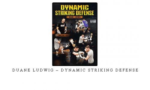DUANE LUDWIG – DYNAMIC STRIKING DEFENSE – Digital Download