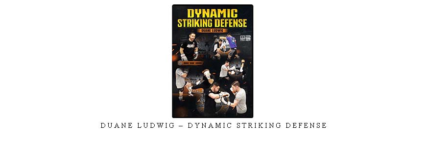 DUANE LUDWIG – DYNAMIC STRIKING DEFENSE