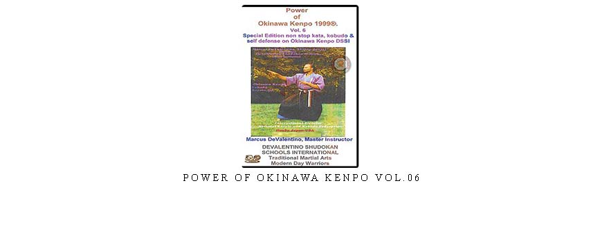 POWER OF OKINAWA KENPO VOL.06