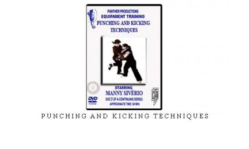 PUNCHING AND KICKING TECHNIQUES – Digital Download