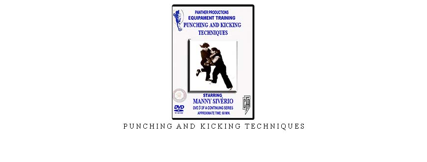 PUNCHING AND KICKING TECHNIQUES