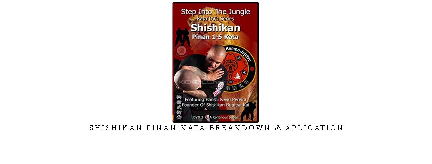 SHISHIKAN PINAN KATA BREAKDOWN & APLICATION