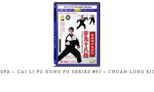 CHEN YONGFA – CAI LI FO KUNG FU SERIES #03 – CHUAN LONG EIGHTEEN-GE – Digital Download
